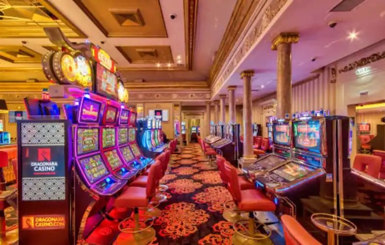 Live casino dealer table on BD333 with real-time streaming for Bangladesh players